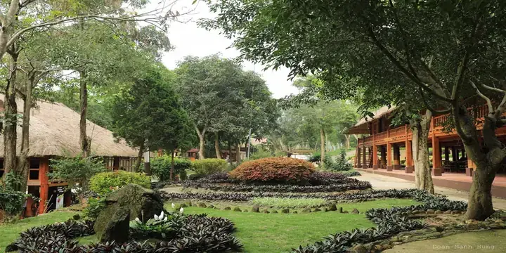 Chuẩn Bị Phương Tiện Di Chuyển