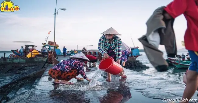 Đảo Thạnh An Có Gì?