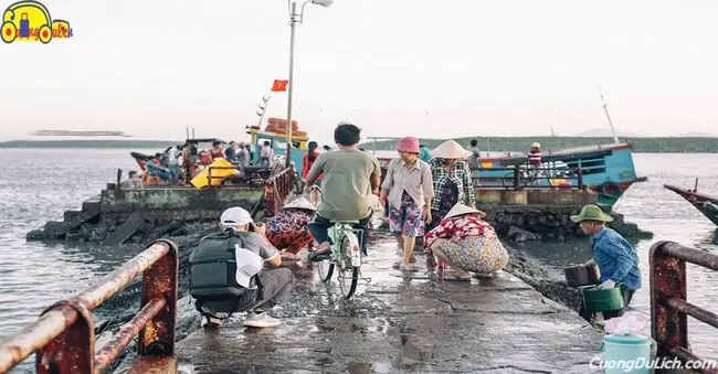 Lưu Ý Khi Đi Đảo Thạnh An Cần Giờ Lưu Ý Khi Đi Đảo Thạnh An Cần Giờ