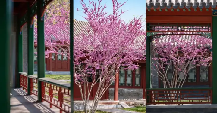 Giới Thiệu Chung Về Đại Học Thanh Hoa
