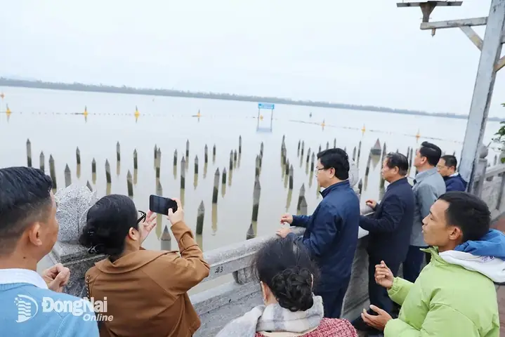 Bạch Đằng Giang – Nơi Khí Thiêng Sông Núi Hội Tụ!