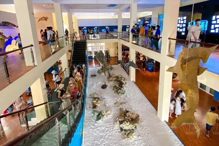 Trải Nghiệm Thực Tế Tại Viện Hải Dương Học Nha Trang Trải Nghiệm Thực Tế Tại Viện Hải Dương Học Nha Trang