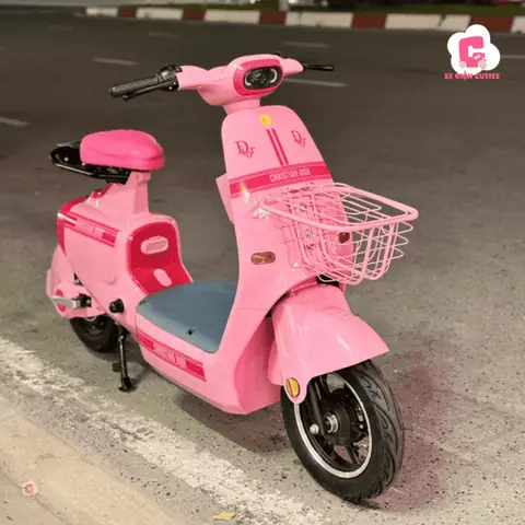 Xe Đạp Điện Hottrend K1