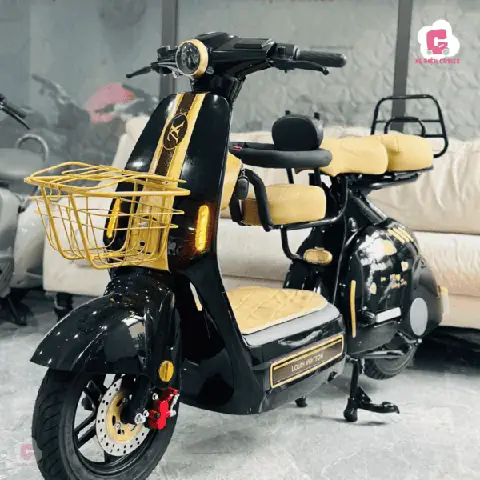Xe Đạp Điện Lihaze Z3