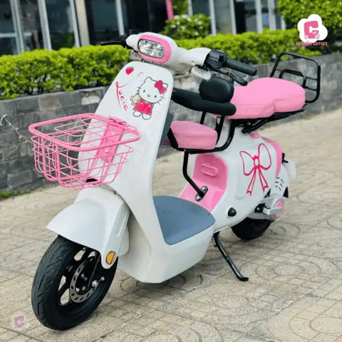 Xe Đạp Điện Vc 2025