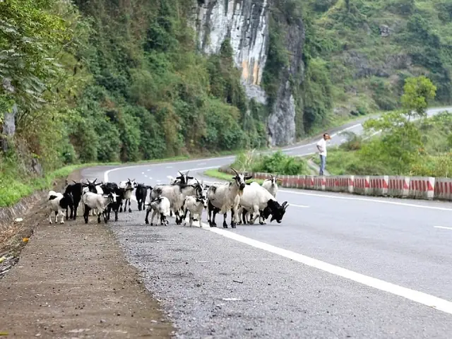What Can You Do On Cat Ba Island? What Can You Do On Cat Ba Island?