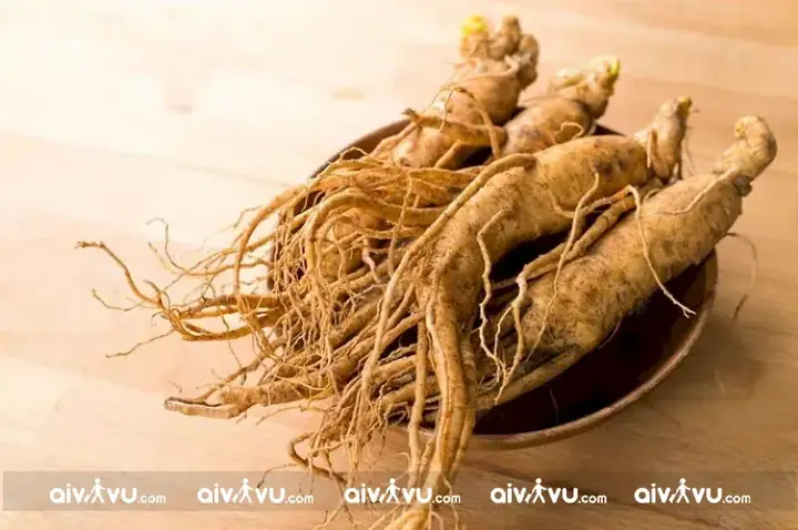 Phân Biệt Nhân Sâm Tươi, Hồng Sâm Và Cao Sâm Phân Biệt Nhân Sâm Tươi, Hồng Sâm Và Cao Sâm
