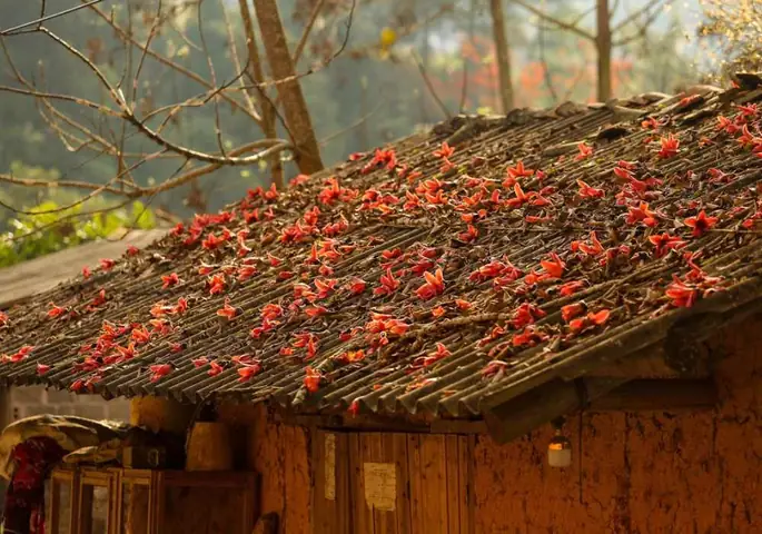 Hà Giang