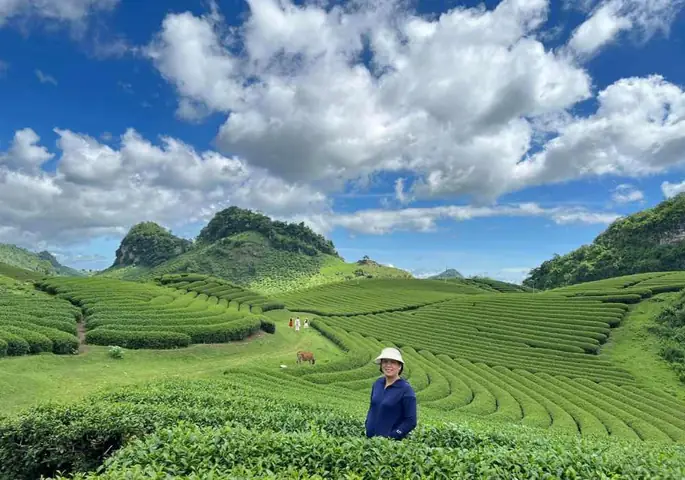 Mộc Châu