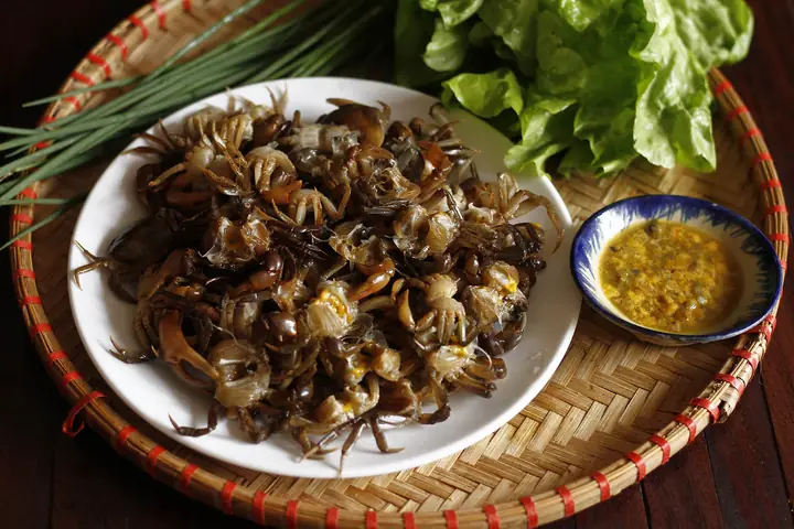 Nguyên Liệu Nấu Bánh Đa Cua Hải Phòng Đến Từ Đồng Ruộng