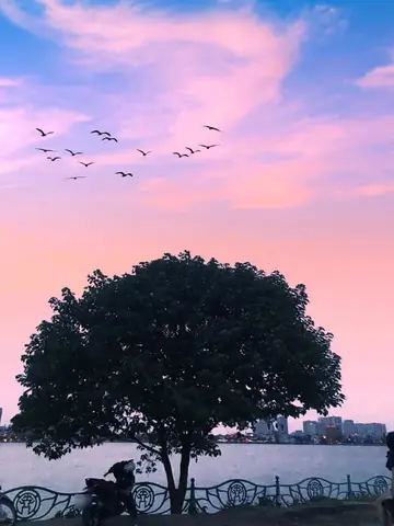 Hình Ảnh Cho Hình Ảnh Hoàng Hôn Hồ Tây: