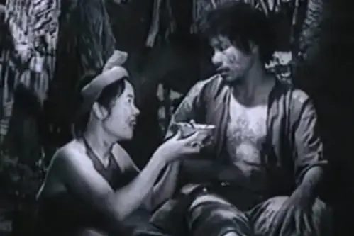 “bát Cháo Hành Của Thị Nở” – Vẻ Đẹp Vĩnh Hằng Của Tình Người, Tình Yêu Và Sự Sẻ Chia “bát Cháo Hành Của Thị Nở” – Vẻ Đẹp Vĩnh Hằng Của Tình Người, Tình Yêu Và Sự Sẻ Chia
