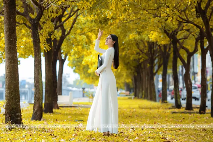 #1 Con Đường Mùa Thu Hoàng Sa- Trường Sa– Quận Bình Thạnh