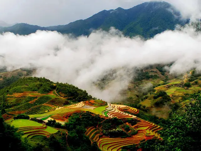 Hình Ảnh Cho Hình Ảnh Thiên Nhiên Đẹp Nhất Việt Nam: Hình Ảnh Cho Hình Ảnh Thiên Nhiên Đẹp Nhất Việt Nam: