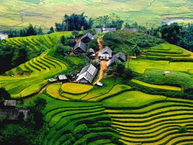 Hình Ảnh Cho Hình Ảnh Thiên Nhiên Đẹp Nhất Việt Nam: Hình Ảnh Cho Hình Ảnh Thiên Nhiên Đẹp Nhất Việt Nam: