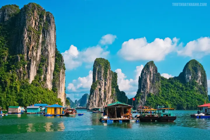 Hình Ảnh Cho Hình Ảnh Thiên Nhiên Đẹp Nhất Việt Nam: Hình Ảnh Cho Hình Ảnh Thiên Nhiên Đẹp Nhất Việt Nam: