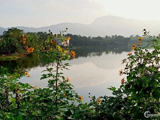 Đất Mặt Hồ Cầu Bãi, Xã Bắc Sơn Sóc Sơn, Ql 35, Dt.2000m2, Giá ...