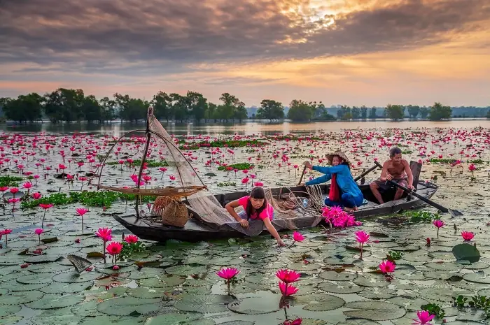 Đặc Điểm Của Hồ Dầu Tiếng