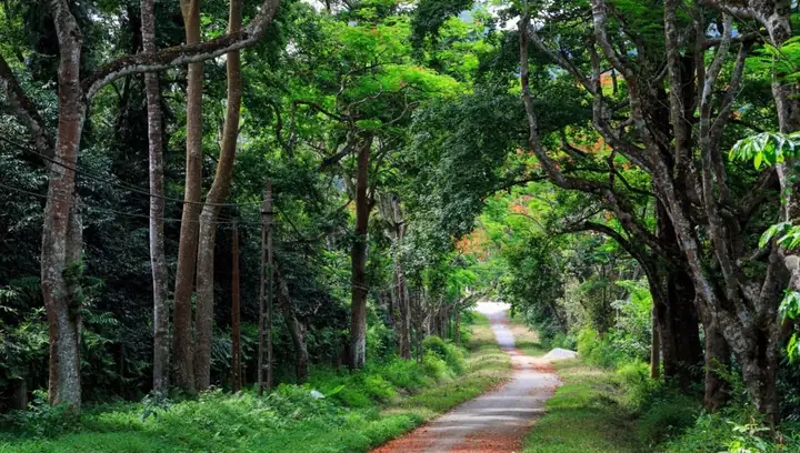 Ba Vì – Vùng Đất Núi Non Ngay Gần Trung Tâm Hà Nội