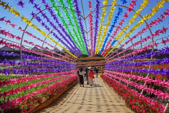 Lưu Ý Khi Di Chuyển, Trang Phục Phù Hợp Lưu Ý Khi Di Chuyển, Trang Phục Phù Hợp