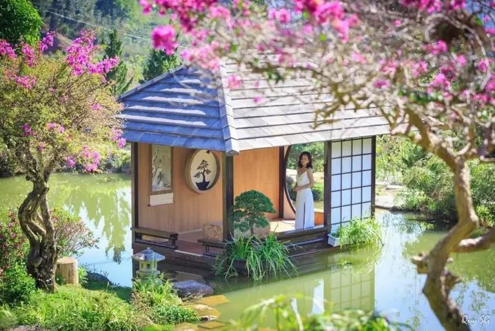 Vườn Hoa Nhật Bản Dưới Chân Đèo Mimosa Vườn Hoa Nhật Bản Dưới Chân Đèo Mimosa