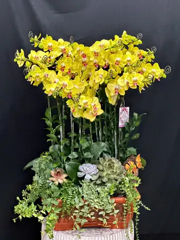 Ý Nghĩa Của Việc Tặng Hoa Cho Cô Giáo Ý Nghĩa Của Việc Tặng Hoa Cho Cô Giáo