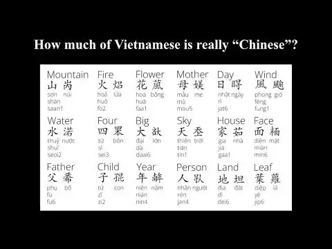 Tổng Hợp Có Bao Nhiêu Từ Trong Tiếng Việt: Ước Lượng Quy Mô Từ Vựng