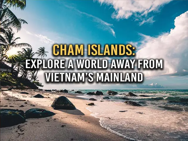 Exploring Vietnam's Cham Islands: What To Know & Things To Do