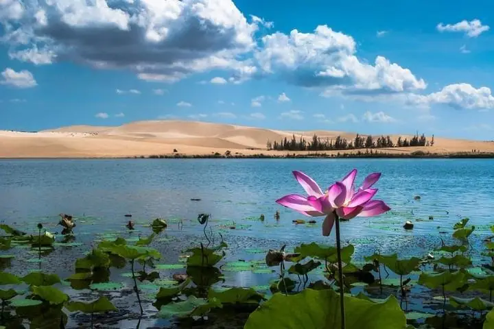 2025 From Ho Chi Minh To Mui Ne Best Day Trip | Sunset Tour (ho ...
