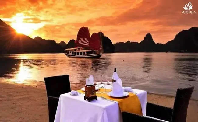 Không Sử Dụng Điện Thoại