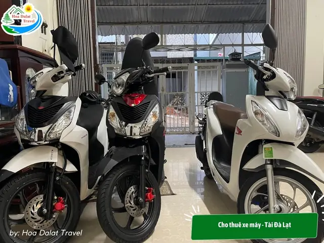 Cho Thuê Xe Máy – Tài Đà Lạt Cho Thuê Xe Máy – Tài Đà Lạt