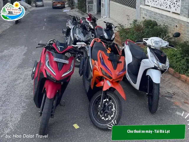 Cho Thuê Xe Máy – Tài Đà Lạt Cho Thuê Xe Máy – Tài Đà Lạt