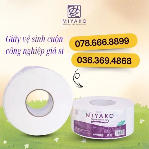 Thị Trường Giấy Vệ Sinh Cuộn Lớn Giá Sỉ Tại Tp.hcm