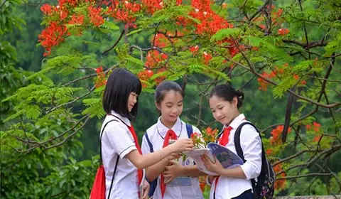 Lịch Nghỉ Hè Năm Học 2024-2025 Của Học Sinh Cả Nước