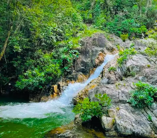 Rừng Nguyên Sinh – Điểm Đến Hùng Vĩ Giữa Lòng Khánh Hòa