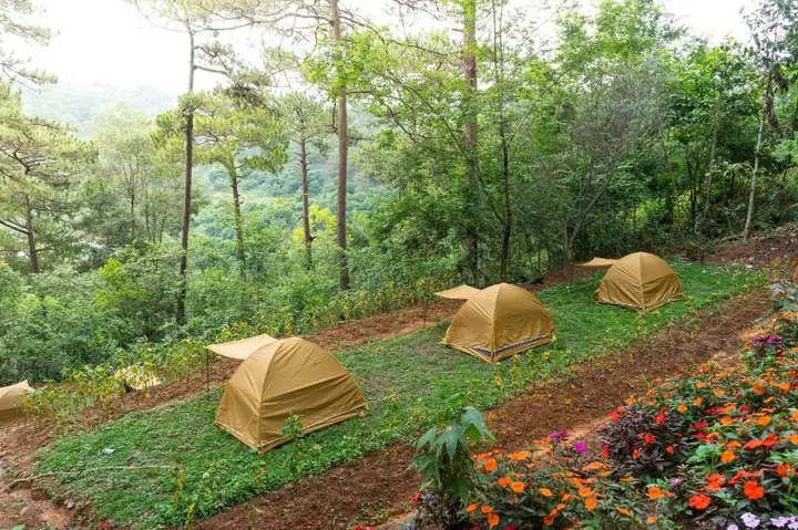 Cắm Trại Ở Khu Du Lịch Rừng Lá Phong Đà Lạt