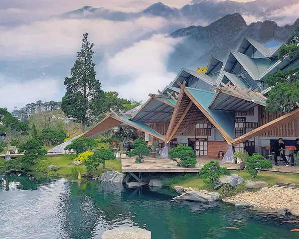 Rừng Lá Phong Đà Lạt Thơ Mộng Của Thành Phố Sương Mù