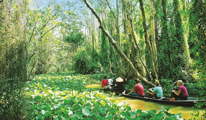 Khu Du Lịch Sinh Thái Đồng Tháp Mười