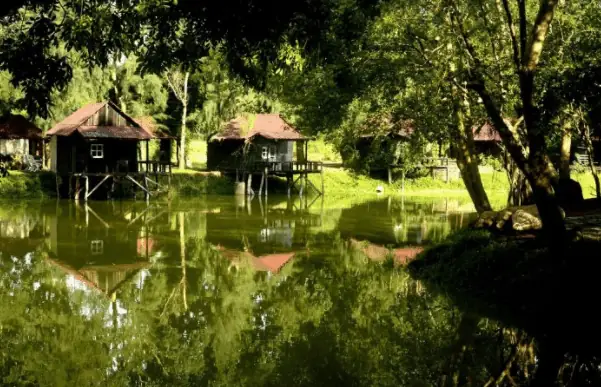 Ở Khu Du Lịch Sinh Thái Cao Minh Có Những Gì? Ở Khu Du Lịch Sinh Thái Cao Minh Có Những Gì?