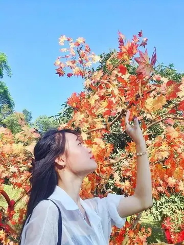 Nên Khu Du Lịch Sinh Thái Núi Ngăm Vào Thời Gian Nào?