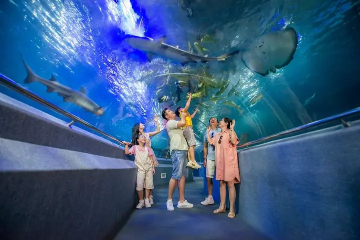 Vinwonders Nha Trang – Công Viên Giải Trí Của Những Kỉ Lục Vinwonders Nha Trang – Công Viên Giải Trí Của Những Kỉ Lục