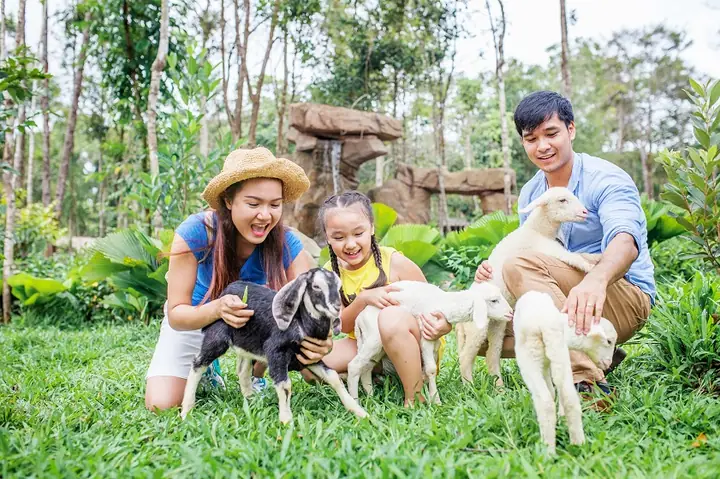 Vinpearl Safari Phú Quốc