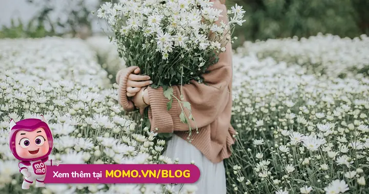 Kinh Nghiệm Du Lịch Hà Nội Tự Túc, Cùng Momo Khám Phá Thủ Đô