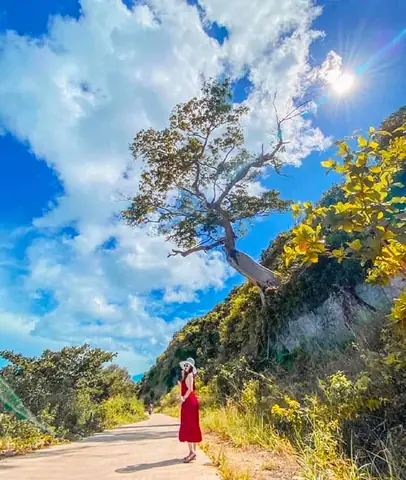 Tham Quan Xung Quanh Đảo Bằng Xe Máy Tham Quan Xung Quanh Đảo Bằng Xe Máy