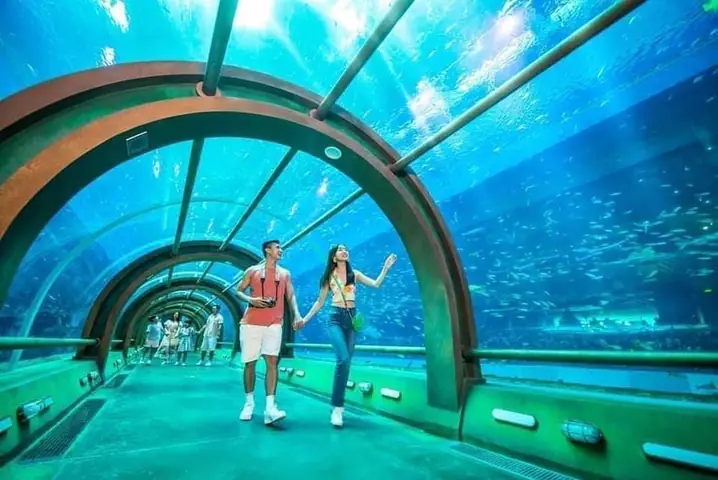 Gia Đình Đi Phú Quốc Đông Người Thì Nên Đi Tự Túc Hay Đi Tour?
