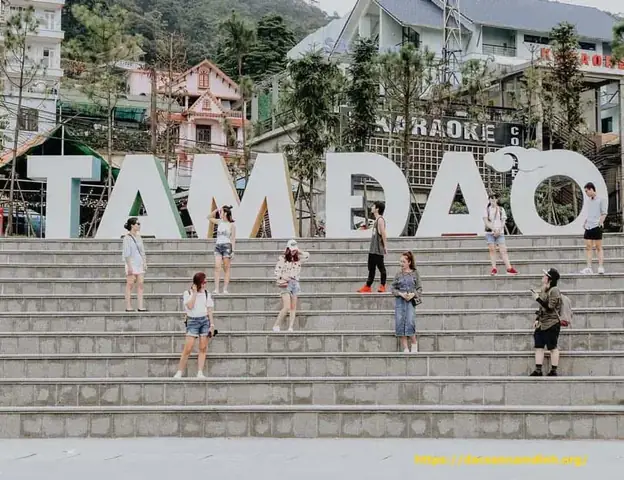 Tam Đảo (vĩnh Phúc): Đà Lạt Thu Nhỏ Giữa Lòng Miền Bắc Tam Đảo (vĩnh Phúc): Đà Lạt Thu Nhỏ Giữa Lòng Miền Bắc