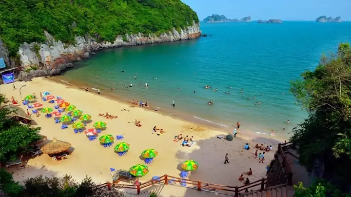 Đảo Ngọc Vừng Đảo Ngọc Vừng