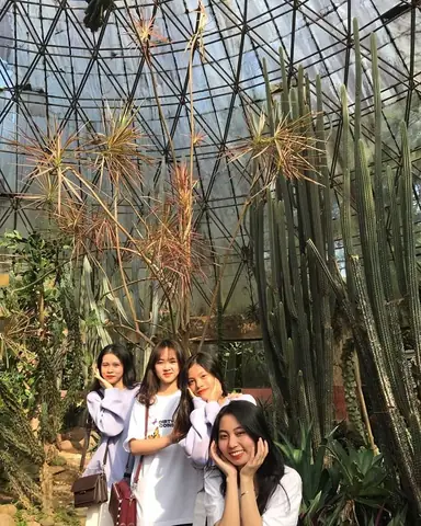 Nhà Kính Xương Rồng