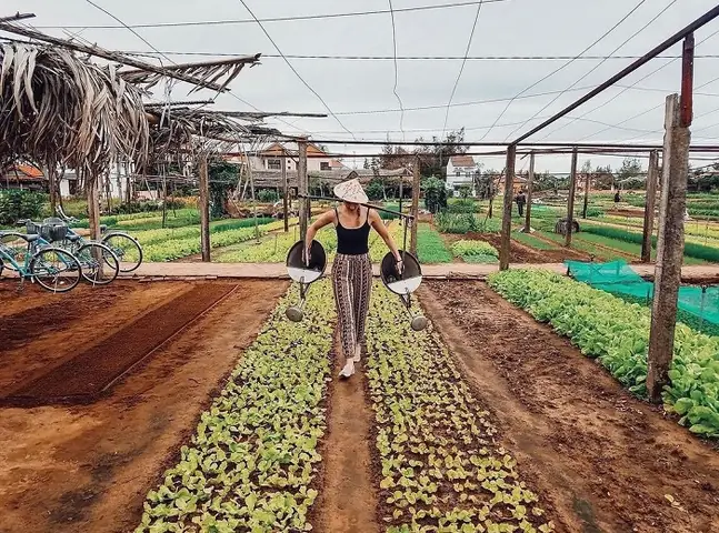 Làng Rau Trà Quế - Điểm Du Lịch Xanh Hội An Có Gì Thú Vị? Làng Rau Trà Quế - Điểm Du Lịch Xanh Hội An Có Gì Thú Vị?