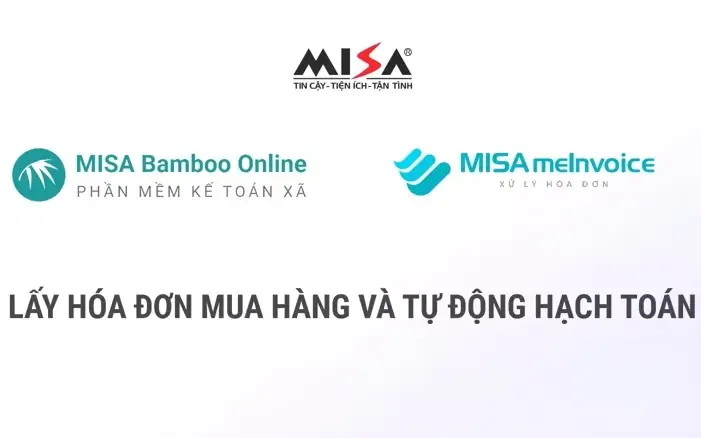 Hướng Dẫn Lấy Hóa Đơn Điện Tử Bamboo Airways Nhanh Chóng, Đúng Quy Trình